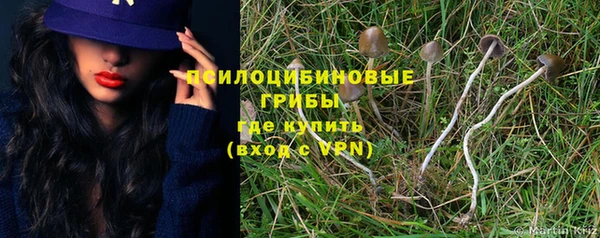 spice Алзамай