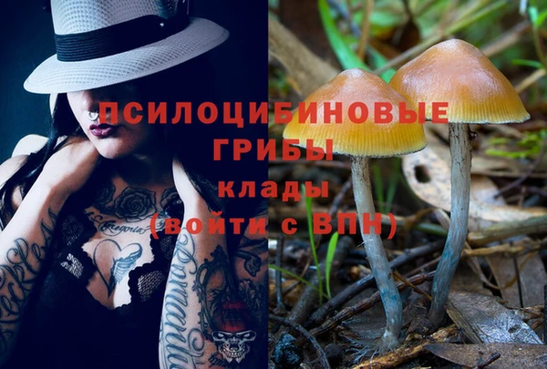 сатива Алексеевка